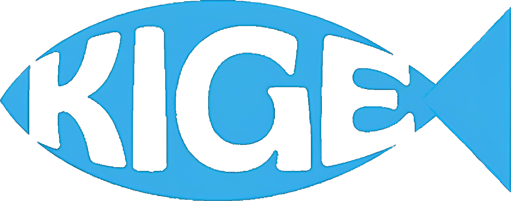 Kige – Online-Kirchengemeinde